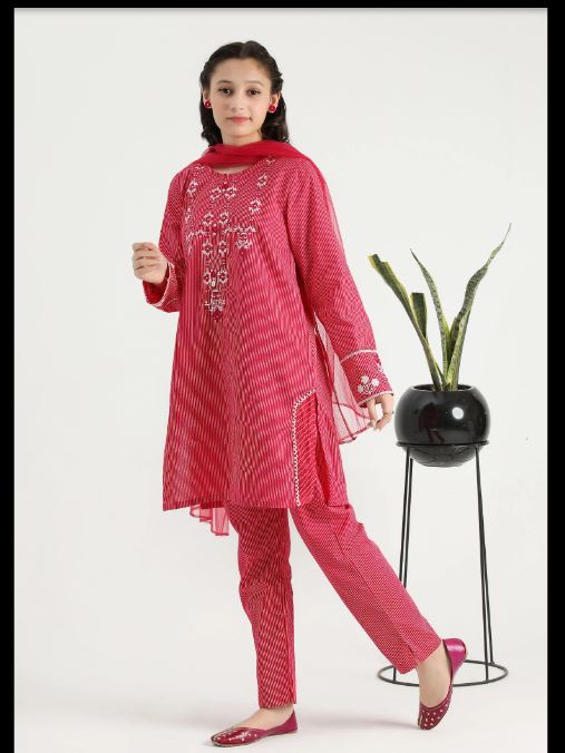 Pink Embroidered Suit